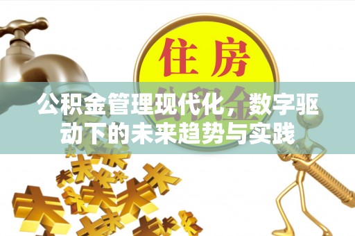全椒公积金管理现代化，数字驱动下的未来趋势与实践