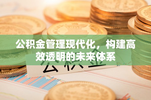 全椒公积金管理现代化，构建高效透明的未来体系