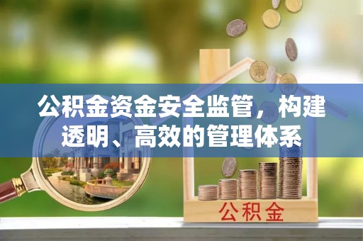 全椒公积金资金安全监管，构建透明、高效的管理体系
