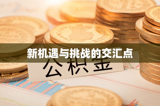 全椒新机遇与挑战的交汇点