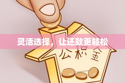 全椒灵活选择，让还款更轻松