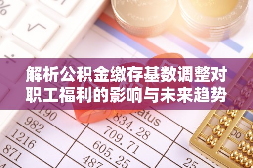 全椒解析公积金缴存基数调整对职工福利的影响与未来趋势