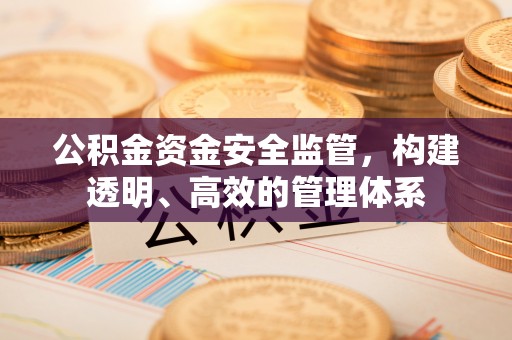 全椒公积金资金安全监管，构建透明、高效的管理体系