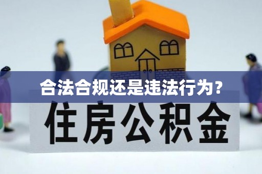 全椒合法合规还是违法行为？