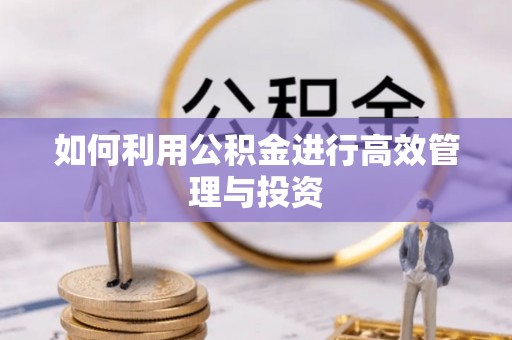 全椒如何利用公积金进行高效管理与投资
