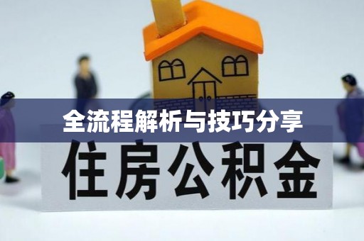 全椒全流程解析与技巧分享