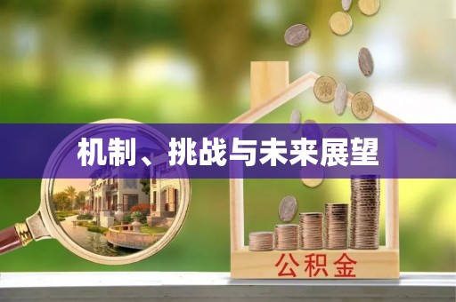 全椒机制、挑战与未来展望