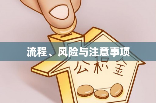 全椒流程、风险与注意事项