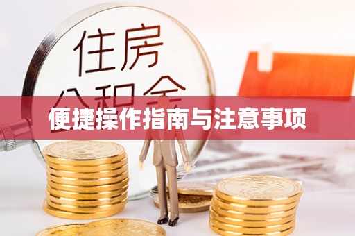 全椒便捷操作指南与注意事项