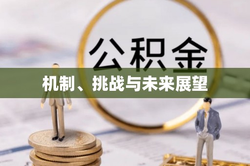 全椒机制、挑战与未来展望